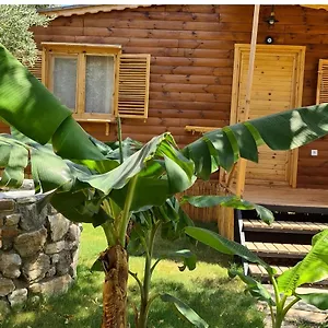 buradan rezervasyon yapın
